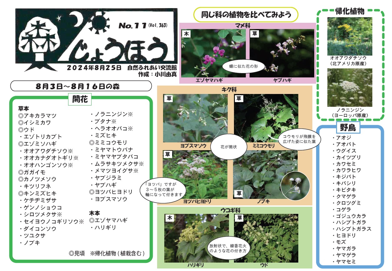 自然情報「森じょうほう」8月25日号