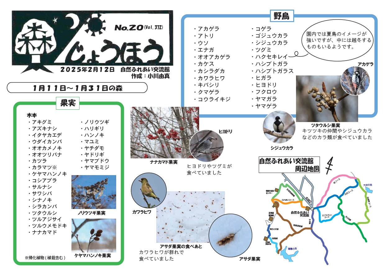 自然情報「森じょうほう」2月12日号