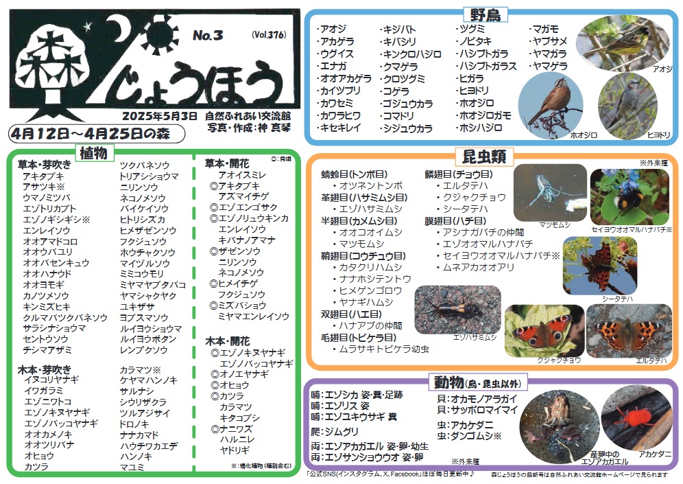 自然情報「森じょうほう」5月3日号