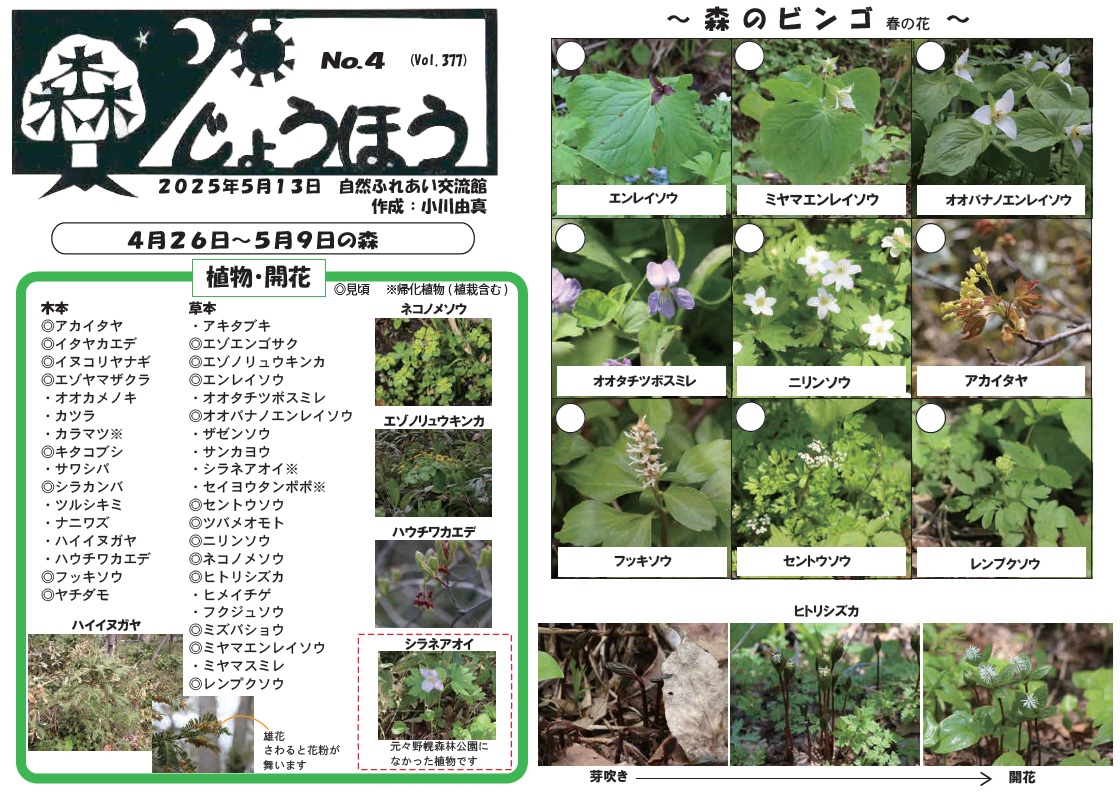 自然情報「森じょうほう」5月13日号