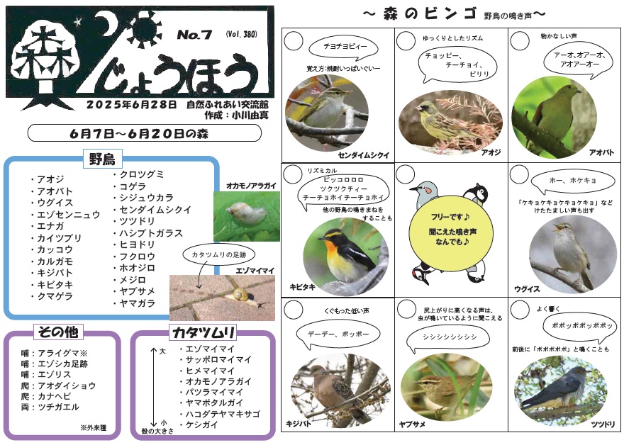 自然情報「森じょうほう」6月28日号