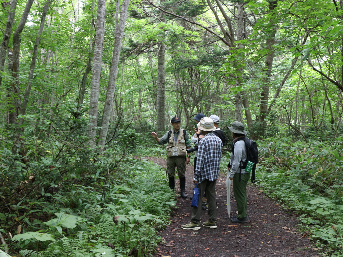 自然観察会「夏の森の観察会」