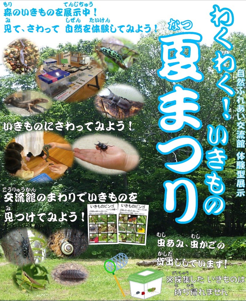 夏は、交流館で、さわって、見つけて、体験！「わくわく！いきもの夏まつり」