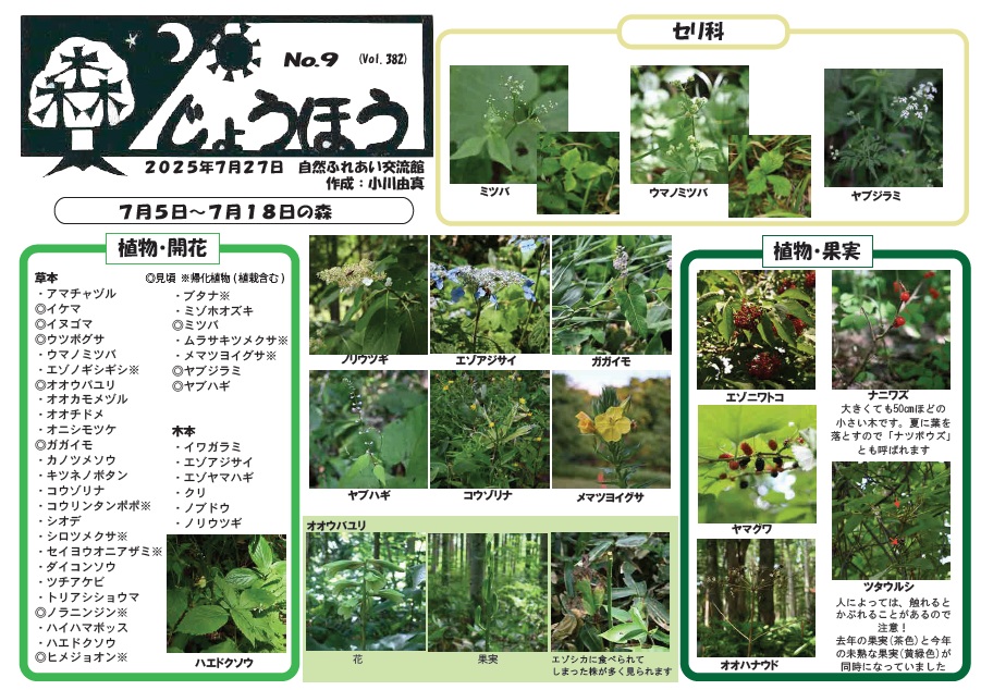 自然情報「森じょうほう」7月27日号