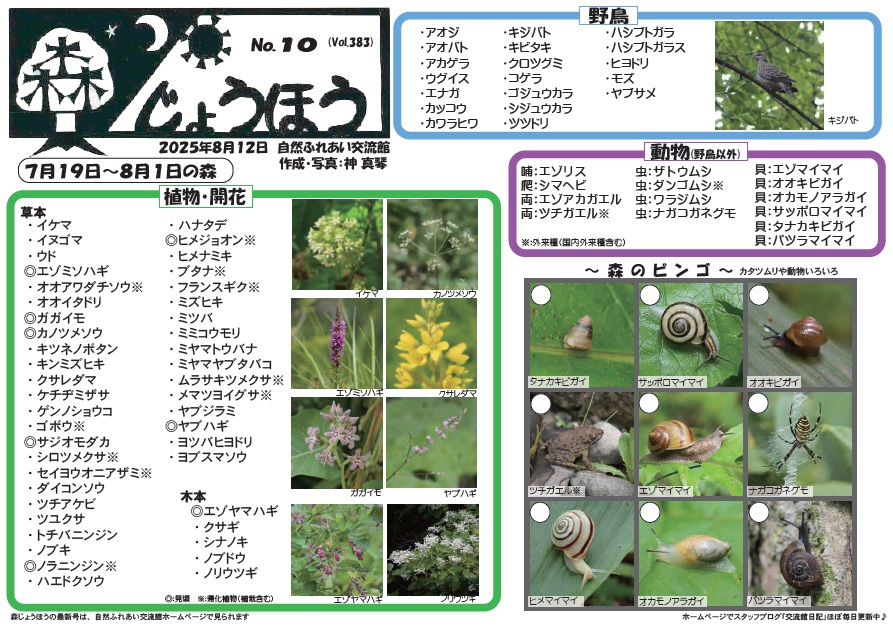 自然情報「森じょうほう」8月12日号