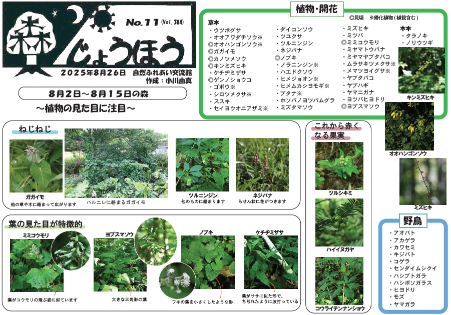 自然情報「森じょうほう」8月26日号