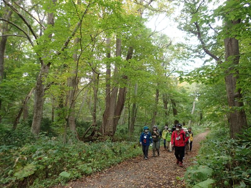 自然観察会「秋の森の観察会」