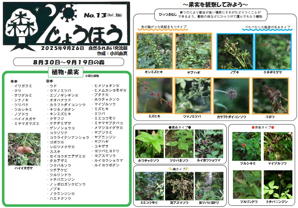 自然情報「森じょうほう」9月26日号