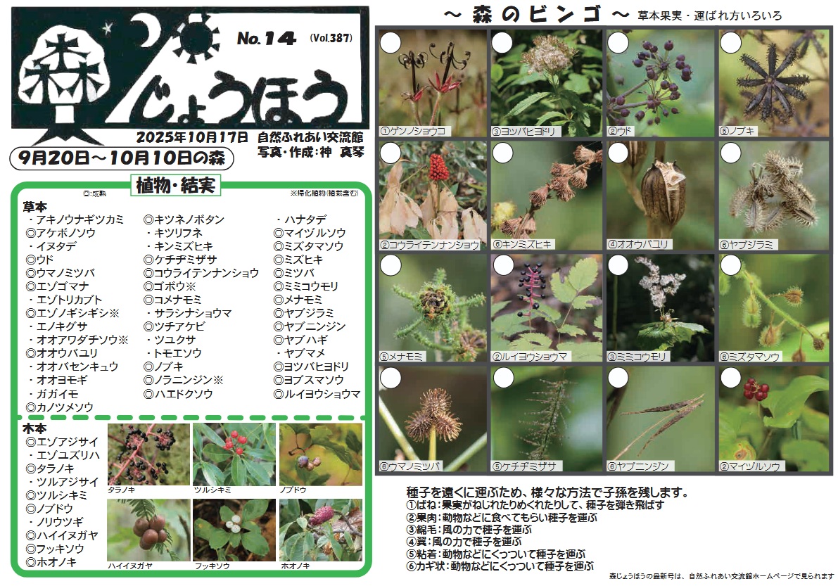 自然情報「森じょうほう」10月17日号