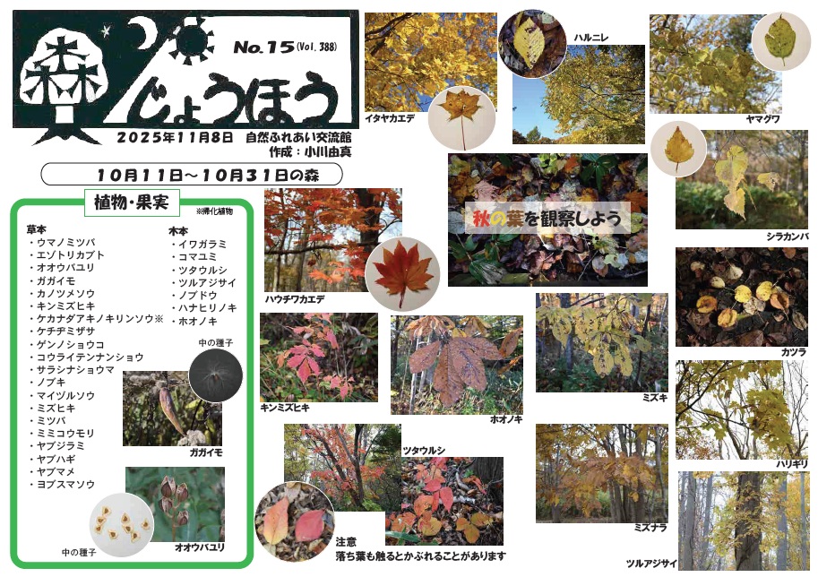自然情報「森じょうほう」11月8日号