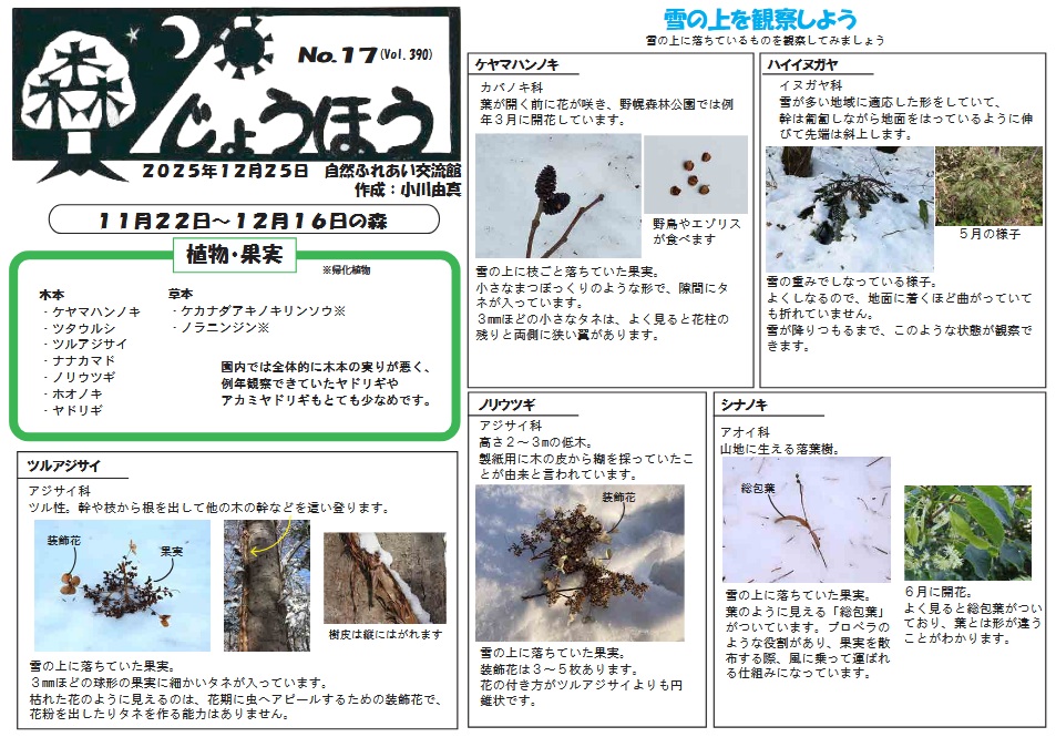 自然情報「森じょうほう」12月25日号