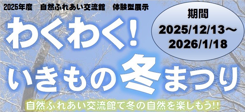 冬休みは、自然ふれあい交流館で自然体験！