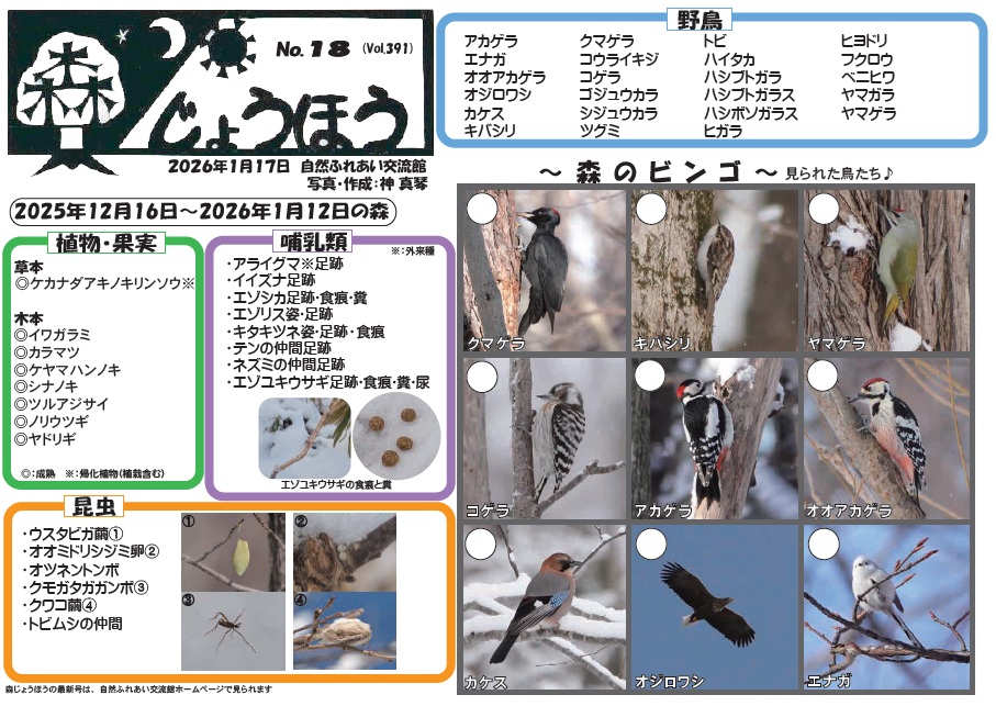 自然情報「森じょうほう」1月17日号