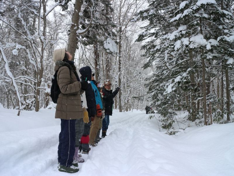 自然観察会「冬の森の観察会」