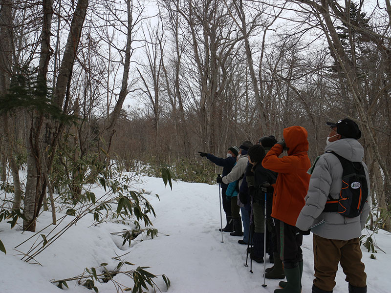 自然観察会「森の中で春をさがそう」