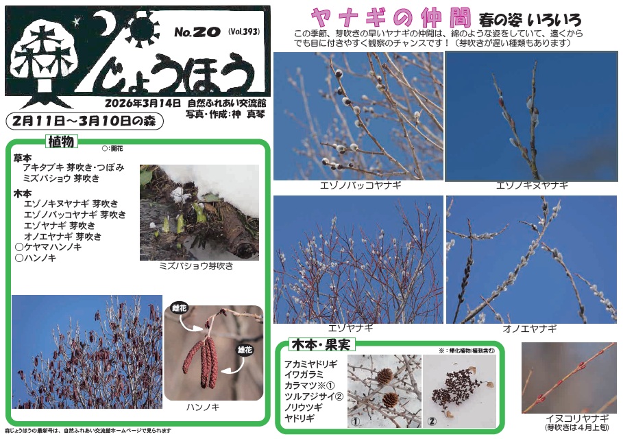 自然情報「森じょうほう」3月14日号