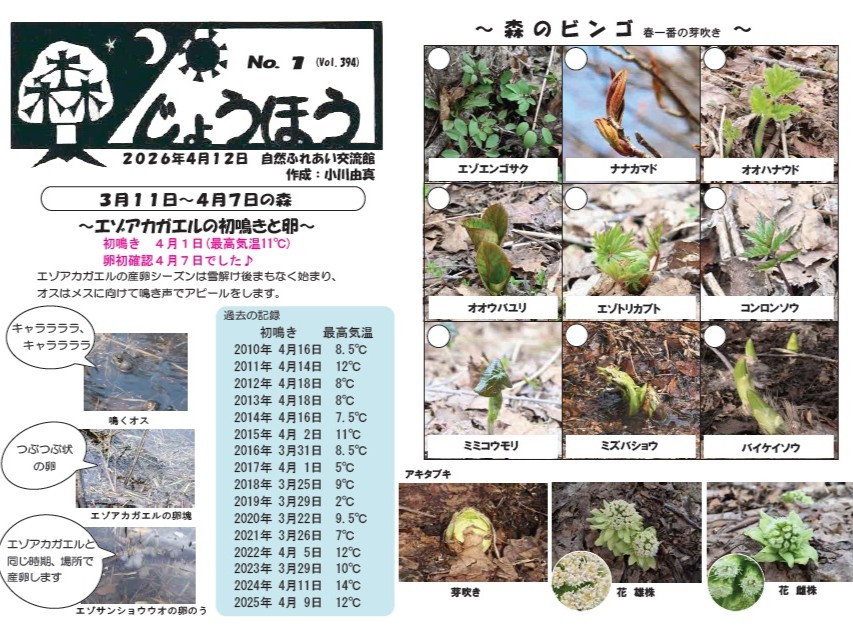 自然情報「森じょうほう」4月12日号