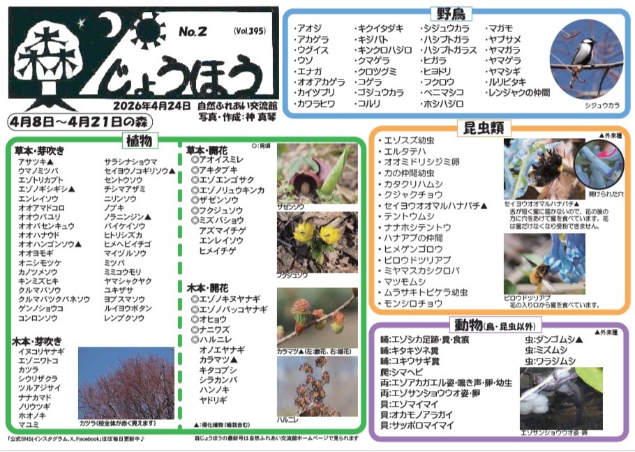 自然情報「森じょうほう」4月24日号