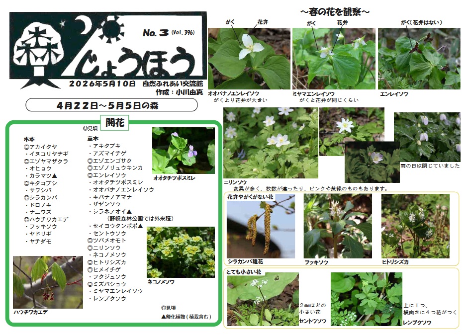 自然情報「森じょうほう」5月10日号