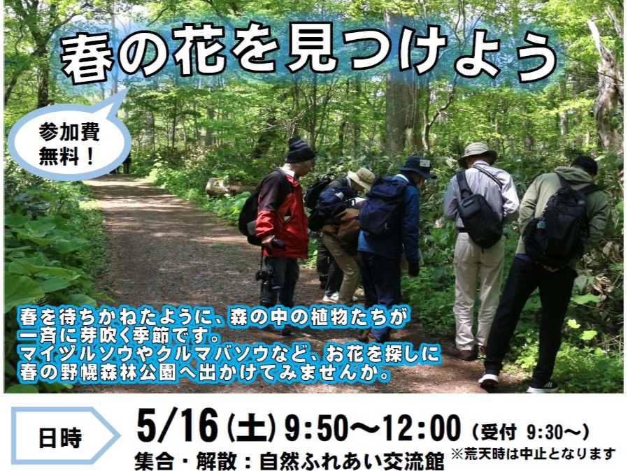 自然観察会「春の花を見つけよう」