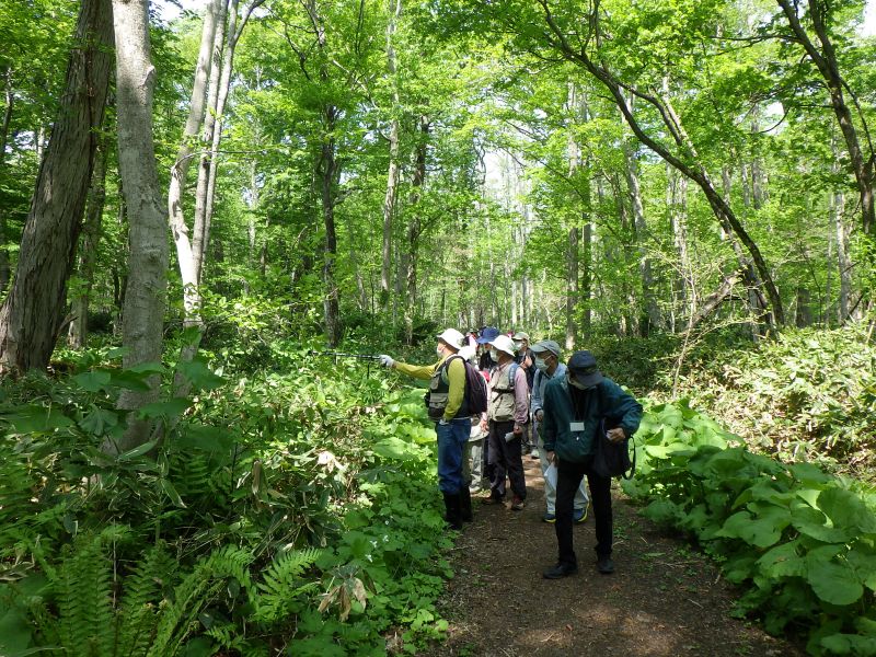 自然観察会「春の花を見つけよう」