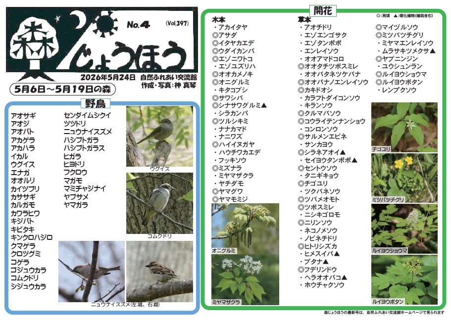 自然情報「森じょうほう」5月24日号