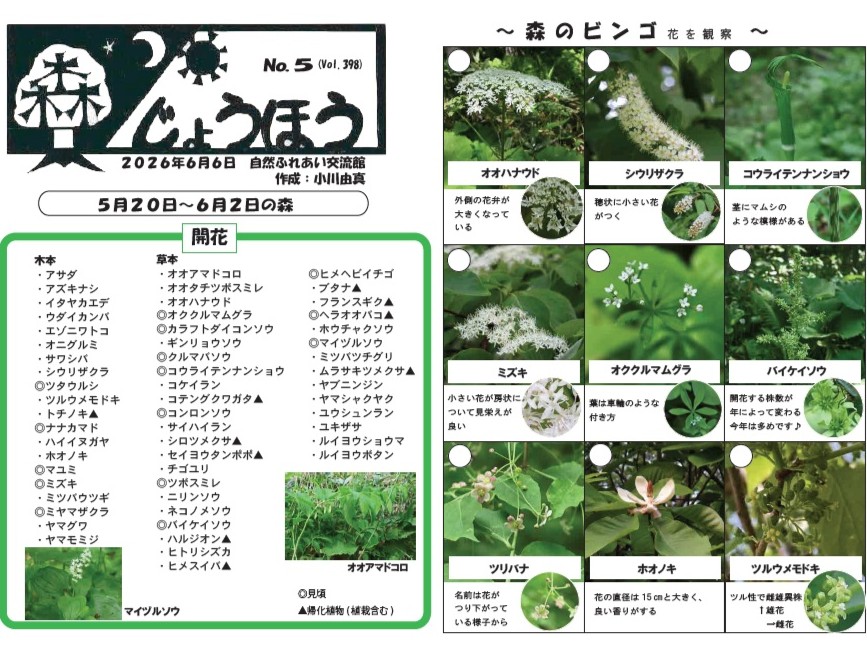 自然情報「森じょうほう」6月6日号