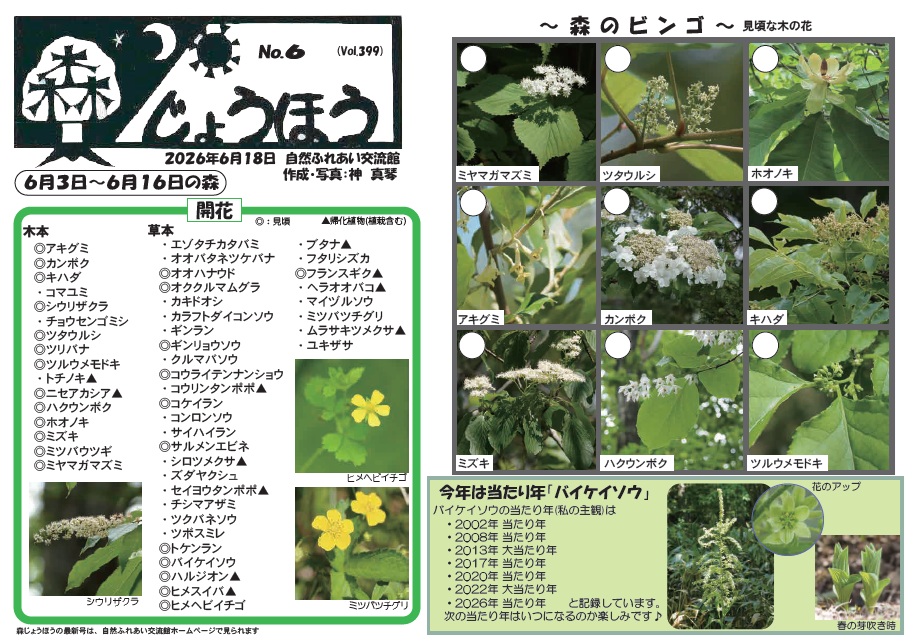 自然情報「森じょうほう」6月18日号