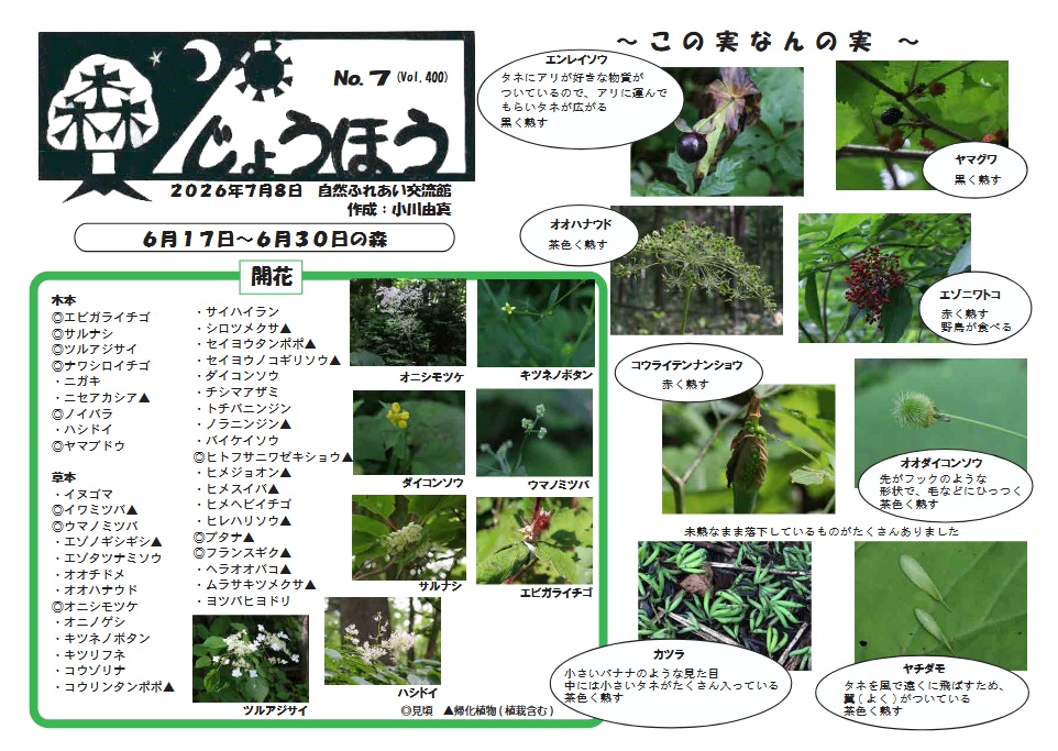 自然情報「森じょうほう」7月8日号