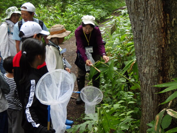 夏休みは親子で自然観察！「親子観察会　参加者募集のお知らせ」