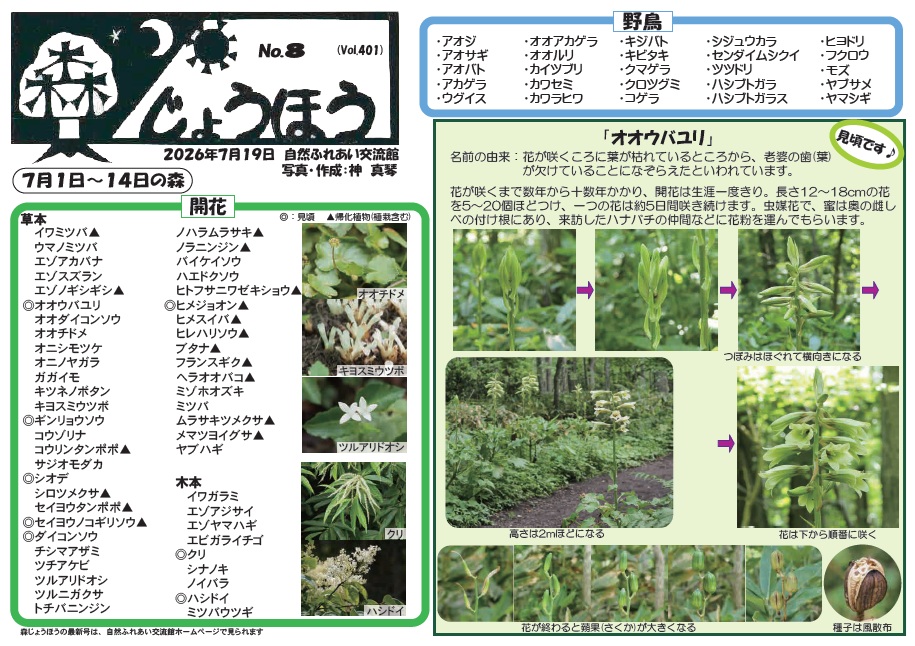 自然情報「森じょうほう」7月19日号
