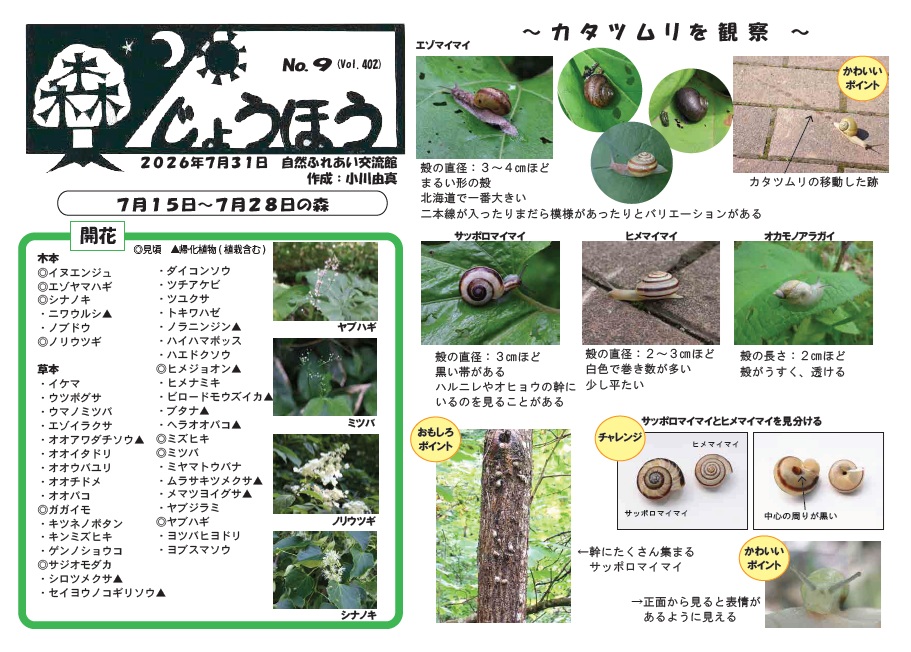 自然情報「森じょうほう」7月31日号