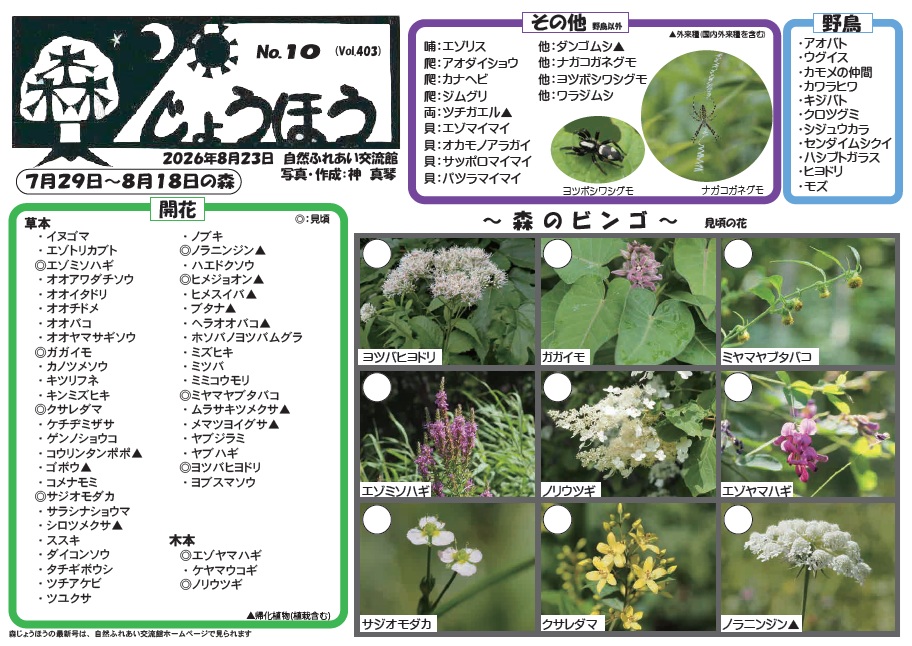 自然情報「森じょうほう」8月23日号