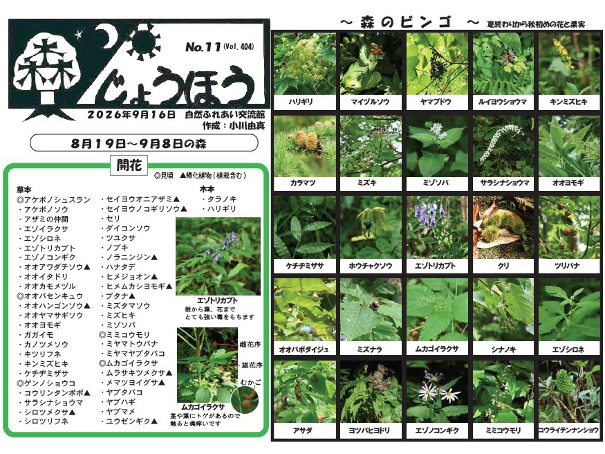 自然情報「森じょうほう」9月16日号