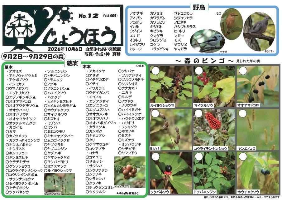 自然情報「森じょうほう」10月6日号